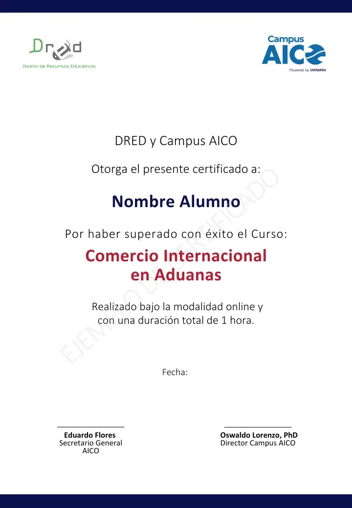 Comercio Internacional en Aduanas