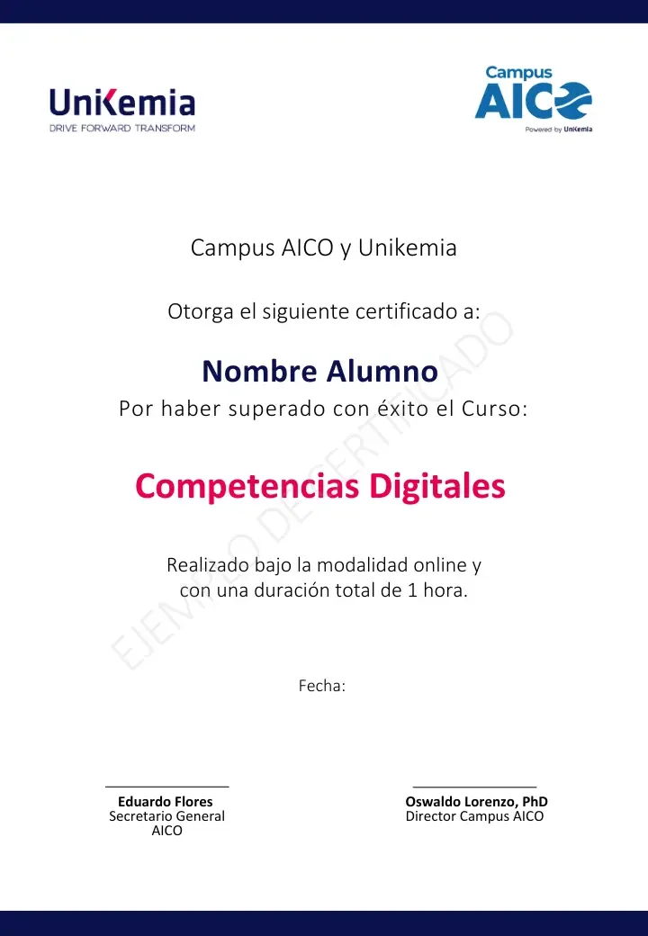 Competencias Digitales (2)