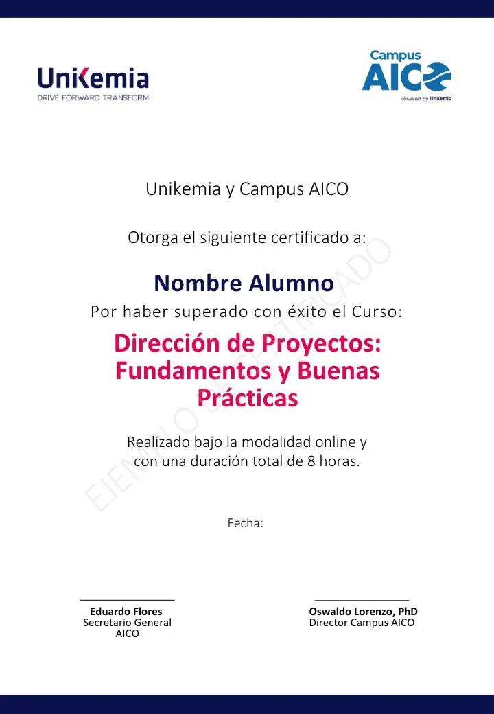 Dirección de Proyectos (1)