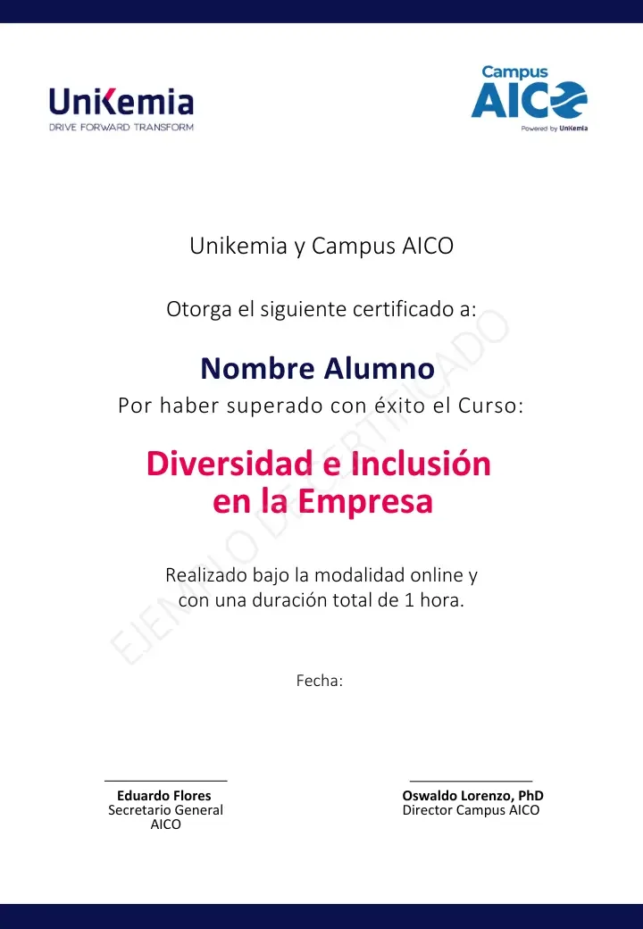 Diversidad e Inclusión en la Empresa (1)