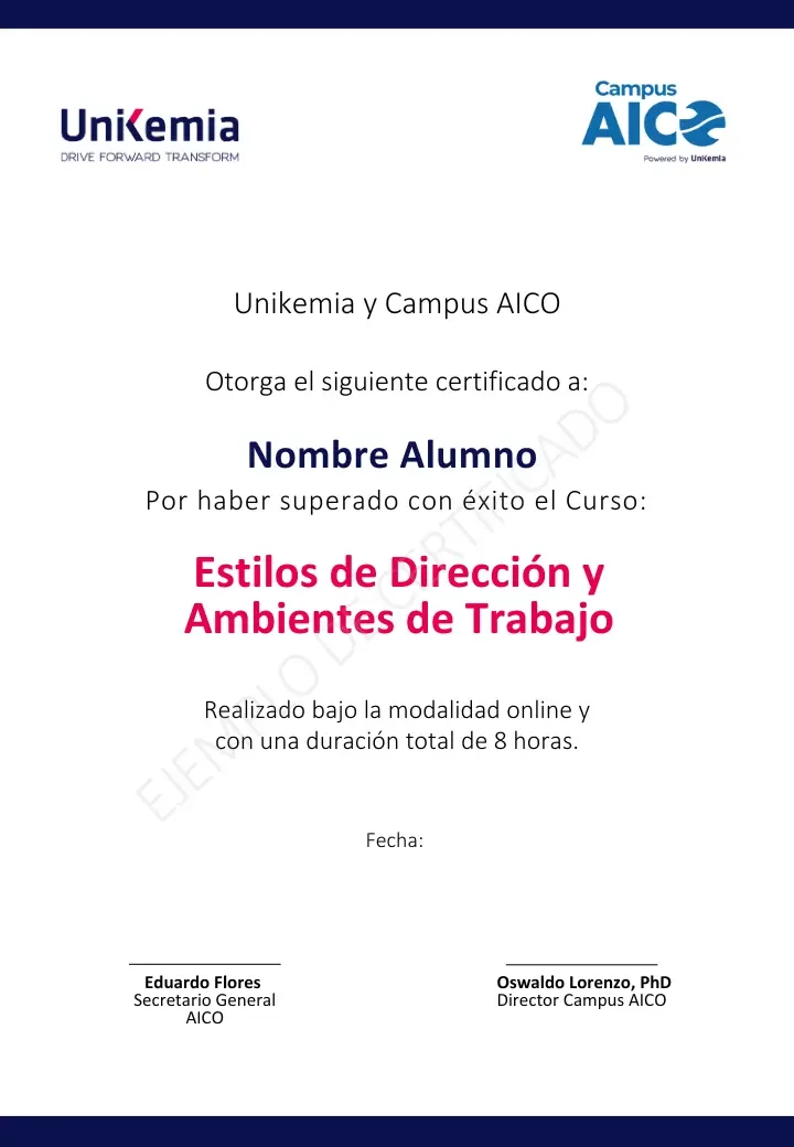 Estilos de Dirección (1)
