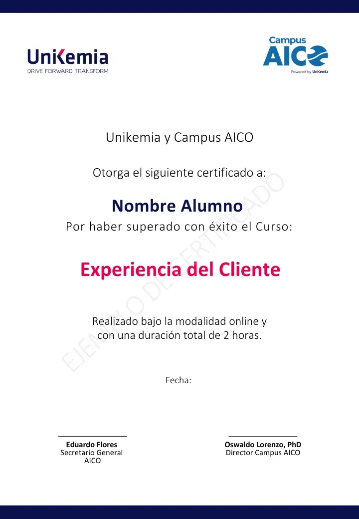 Experiencia del Cliente (2)