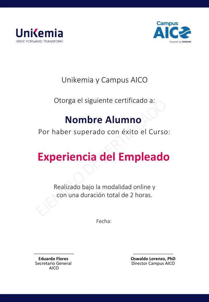 Experiencia del Empleado (1)