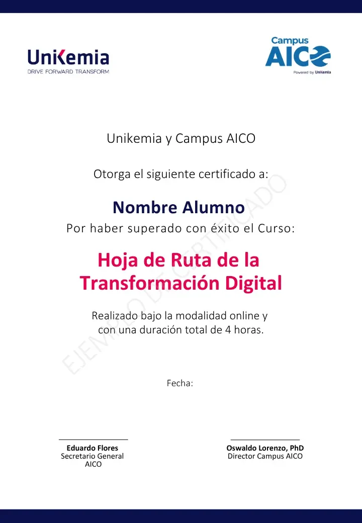 Hoja de Ruta de la Transformación Digital