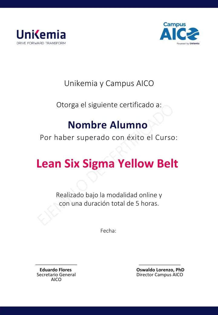 Lean Six Sigman (1)
